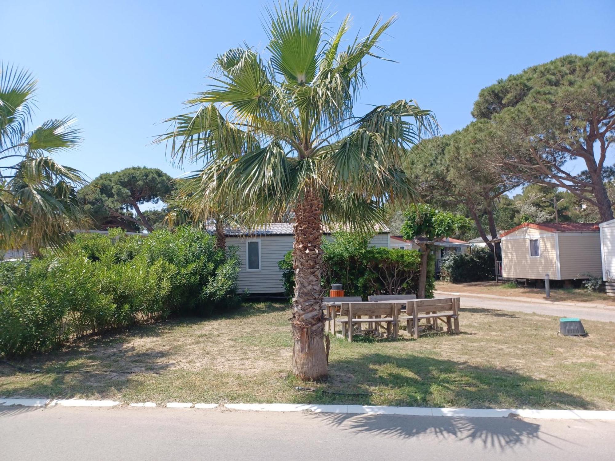Mobil-Home Pour 6 Personnes Narbonne Eksteriør billede